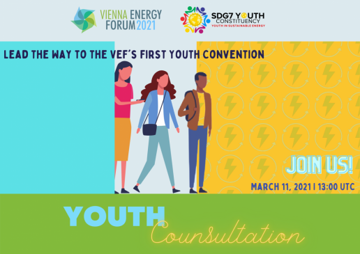Youth Consultation: VEF 2021